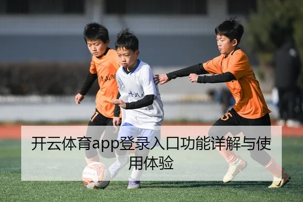 开云体育app登录入口功能详解与使用体验