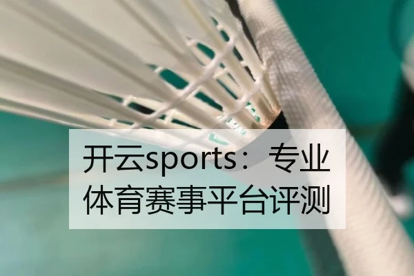 开云sports：专业体育赛事平台评测