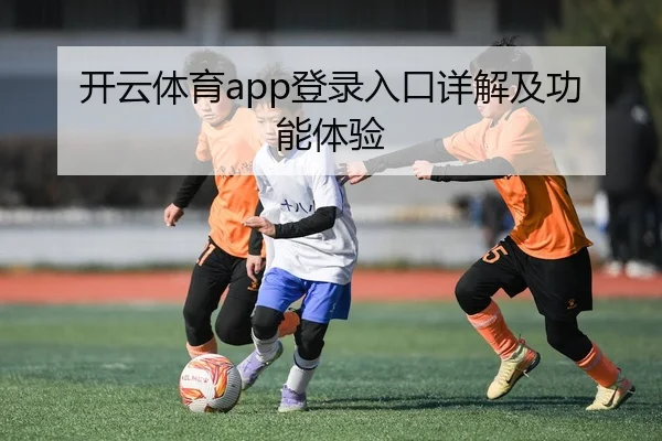 开云体育app登录入口详解及功能体验