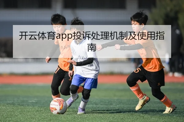 开云体育app投诉处理机制及使用指南