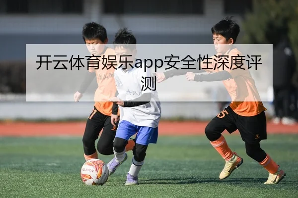 开云体育娱乐app安全性深度评测