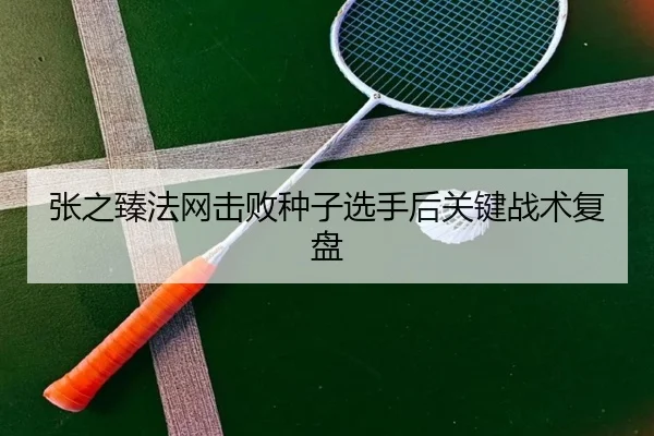 张之臻法网击败种子选手后关键战术复盘